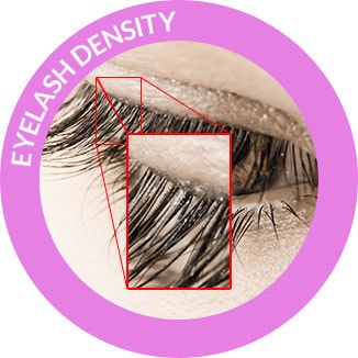Eyelash Density