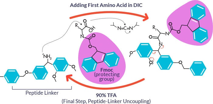 Adding First Amino Acid in DIC