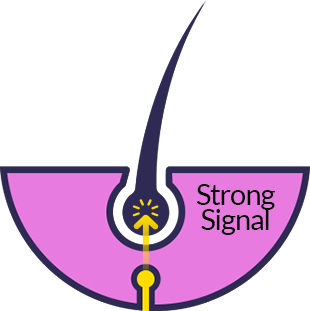 Strong Signal by Megan Erickson